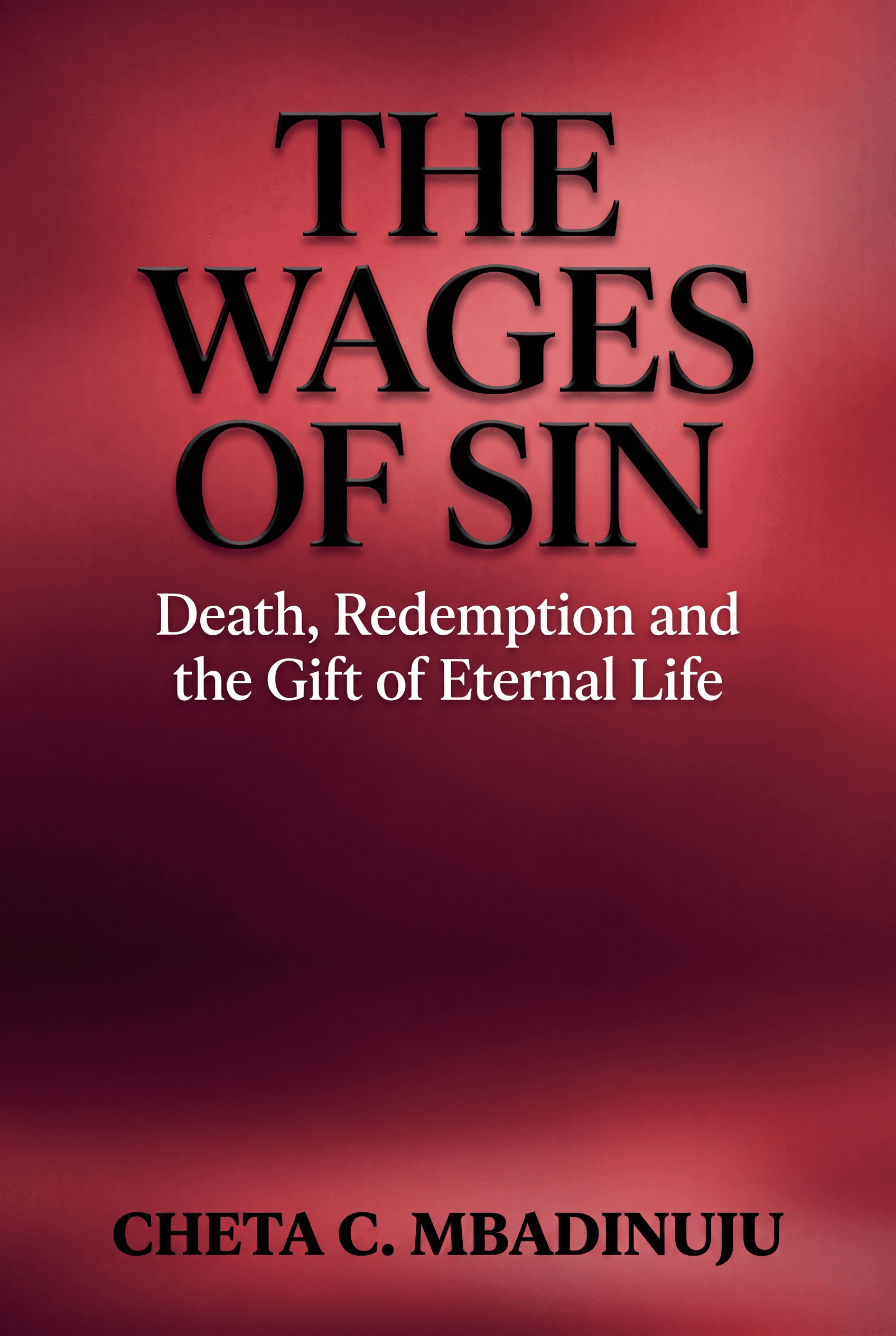 Cover of The Wages of Sin by Cheta C. Mbadinuju
